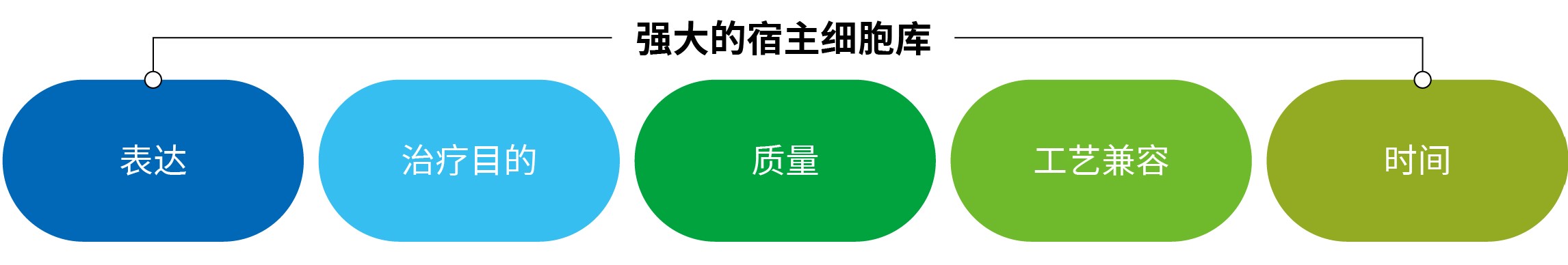 九游会·J9 - 中国官方网站 | 真人游戏第一品牌