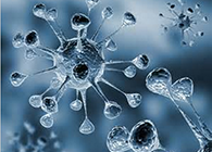 豪门国际官网体内体外药效试验顺遂通过药监局审查