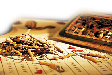 以后中医药养生将怎样服务黎民生涯？