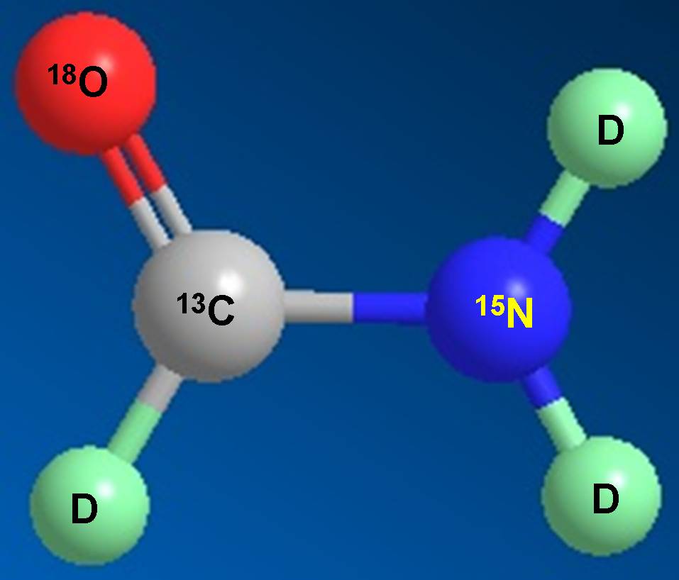 豪门国际官网科研职员受邀担当同位素手艺交流培训会讲师