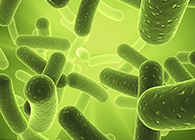 豪门国际官网将加入2013年欧洲生物春季展会