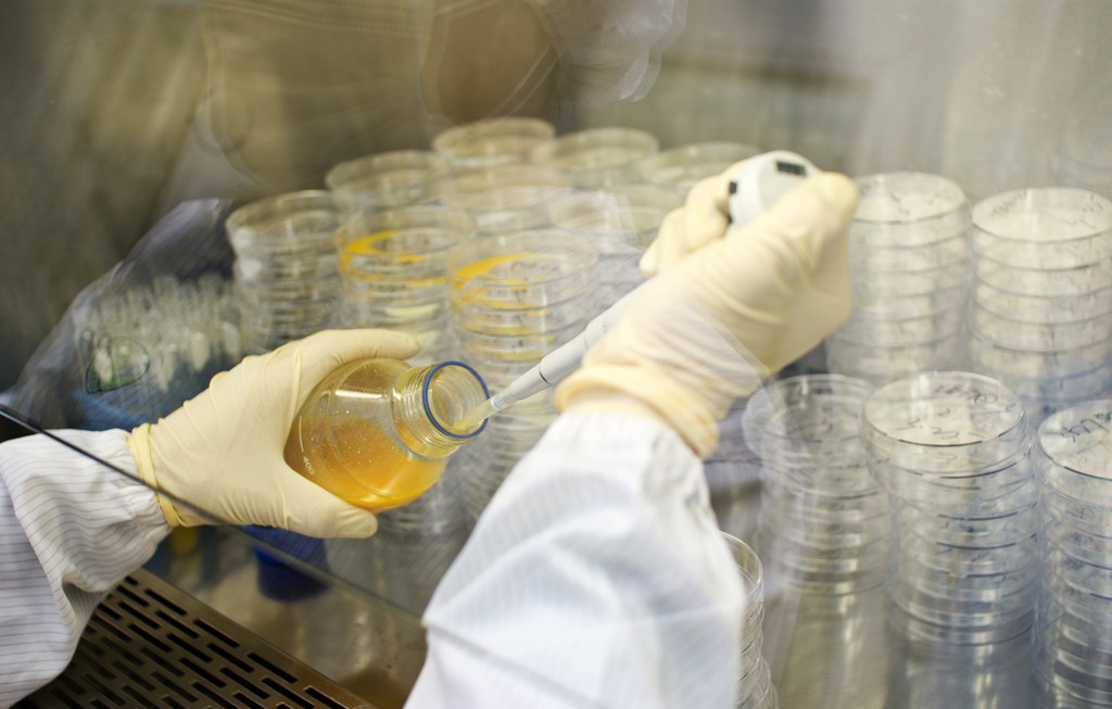 豪门国际官网-追求康健,你我一起开展