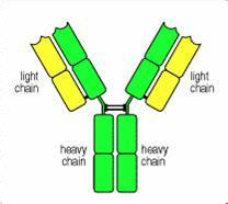 豪门国际官网-追求康健,你我一起开展