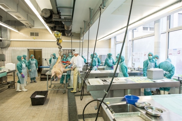 中国药企欧盟碰壁：：质量问题照旧标准差别？