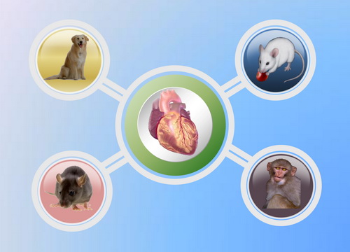 豪门国际官网-追求康健,你我一起开展