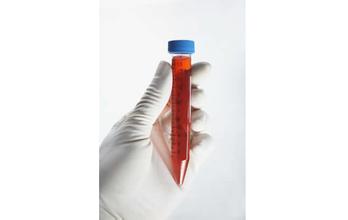 豪门国际官网-追求康健,你我一起开展