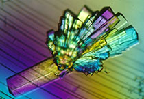 PD-1抑制剂成“抗癌神器”，，，海内外企业希望怎样？