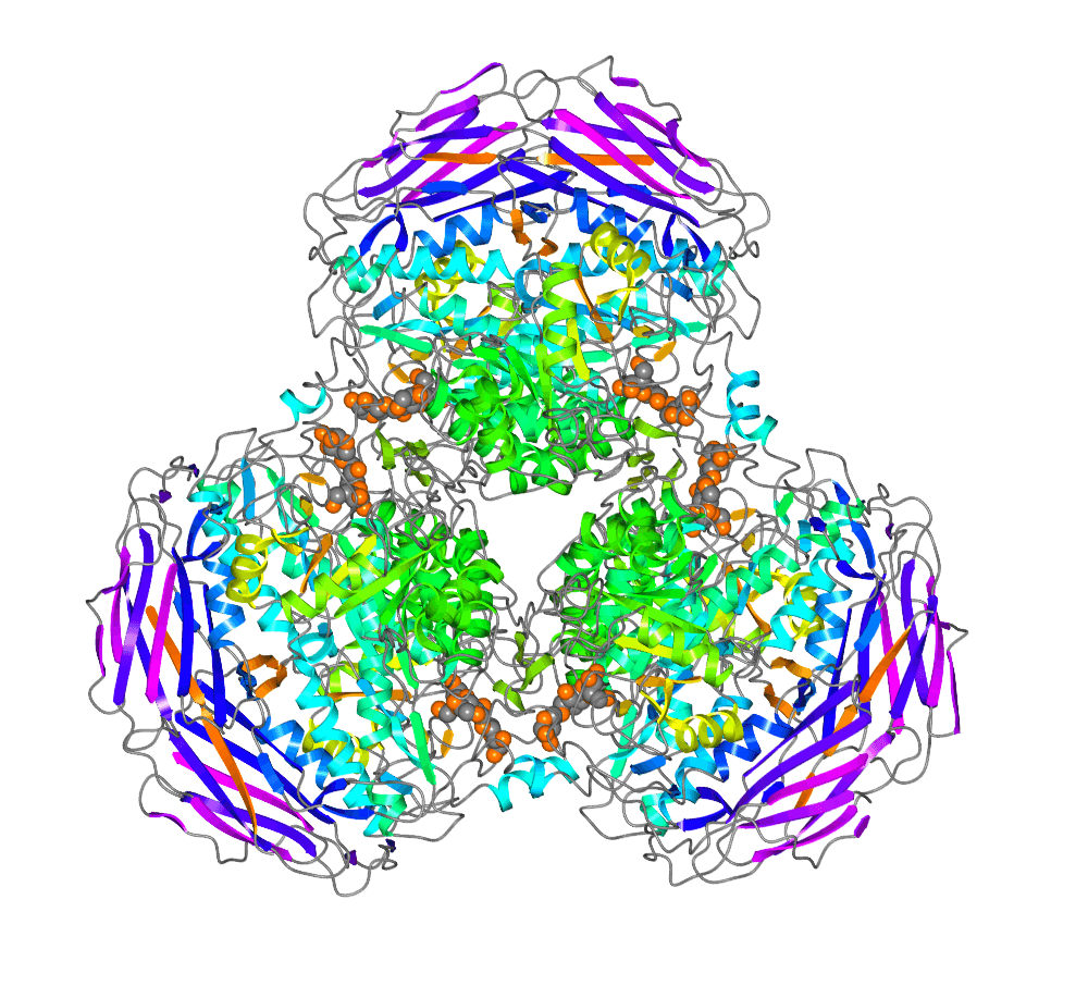卵白表达服务介绍