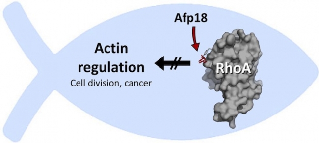 豪门国际官网-追求康健,你我一起开展
