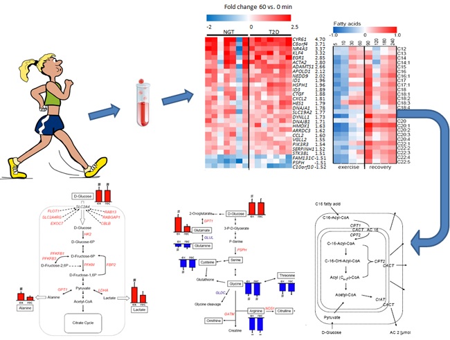 豪门国际官网-追求康健,你我一起开展