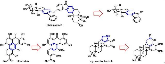 上海有机所含多取代芳环的自然产品全合成研究获系列希望