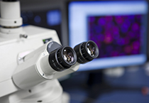 豪门国际官网载体构建服务