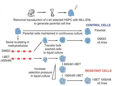 豪门国际官网-追求康健,你我一起开展