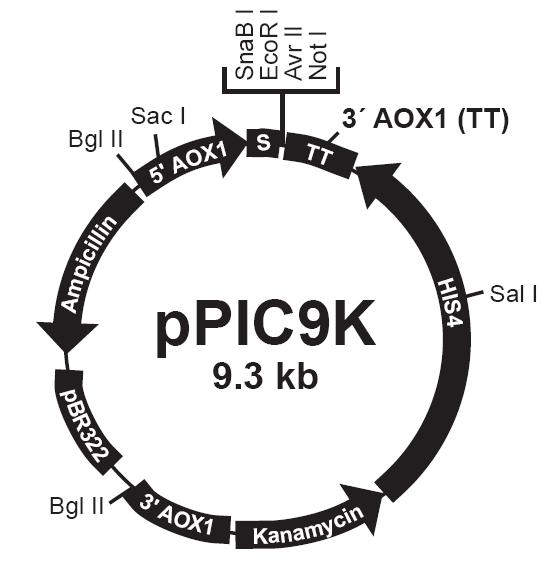 豪门国际官网-追求康健,你我一起开展