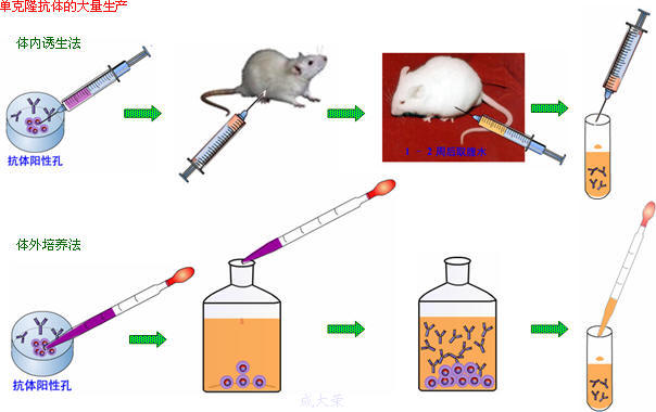 豪门国际官网-追求康健,你我一起开展
