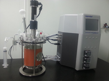 豪门国际官网的生物药（抗体）实验室即将投入使用