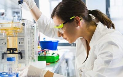 豪门国际官网人类疾病动物模子