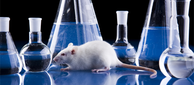 豪门国际官网-追求康健,你我一起开展