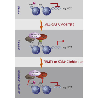 豪门国际官网-追求康健,你我一起开展