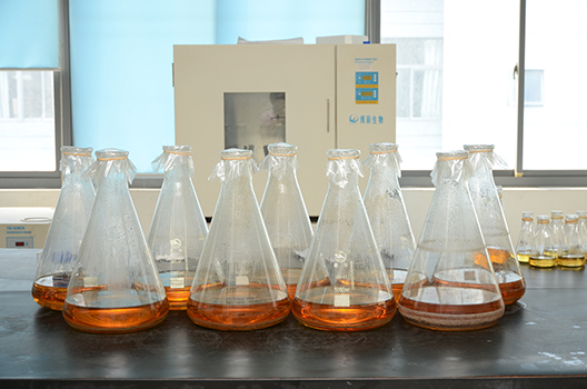 豪门国际官网制剂中心GMP中试车间完工