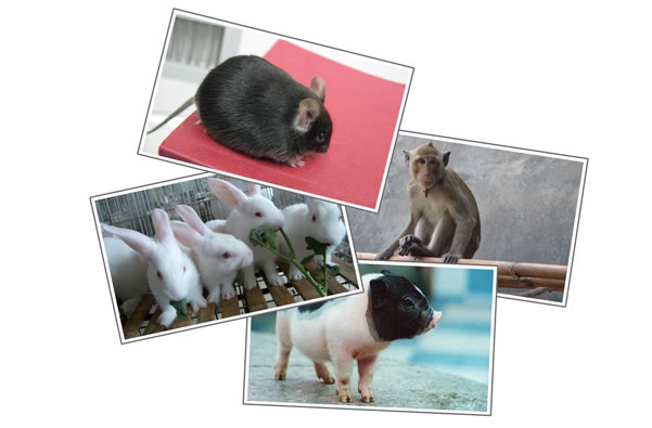 豪门国际官网-追求康健,你我一起开展