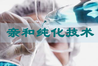 豪门国际官网亲和纯化手艺服务