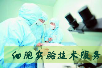 豪门国际官网细胞实验服务外包