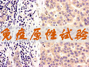 豪门国际官网免疫原性试验服务