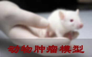 豪门国际官网肿瘤模子建设服务