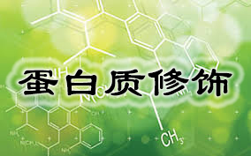 豪门国际官网-追求康健,你我一起开展