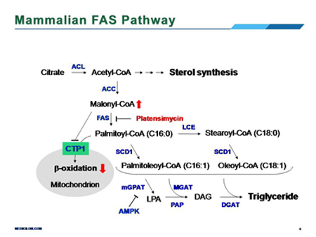 豪门国际官网-追求康健,你我一起开展