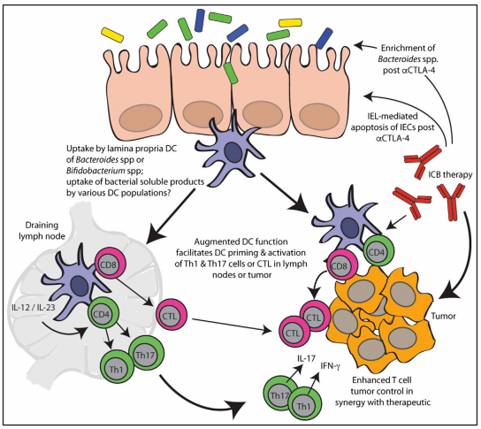豪门国际官网-追求康健,你我一起开展