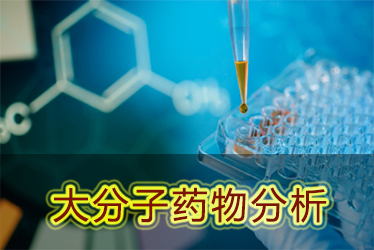 豪门国际官网大分子药物剖析服务