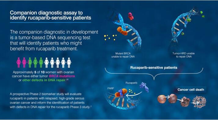 豪门国际官网-追求康健,你我一起开展