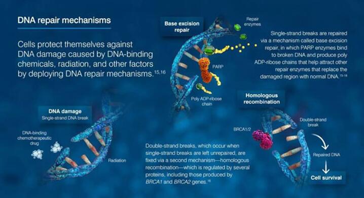 豪门国际官网-追求康健,你我一起开展