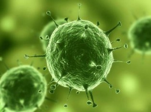 Nature：：：治疗实体瘤有了明确靶标，，，肿瘤干细胞确实保存