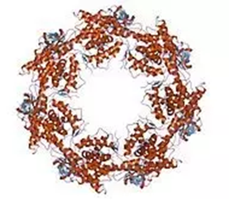 豪门国际官网-追求康健,你我一起开展