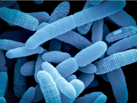 豪门国际官网-追求康健,你我一起开展