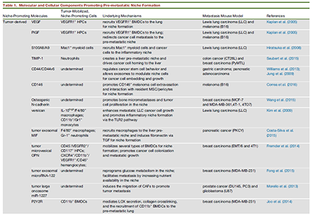 豪门国际官网-追求康健,你我一起开展