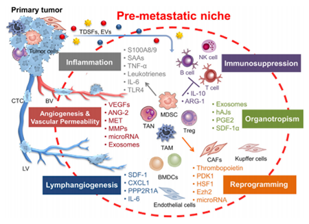 豪门国际官网-追求康健,你我一起开展