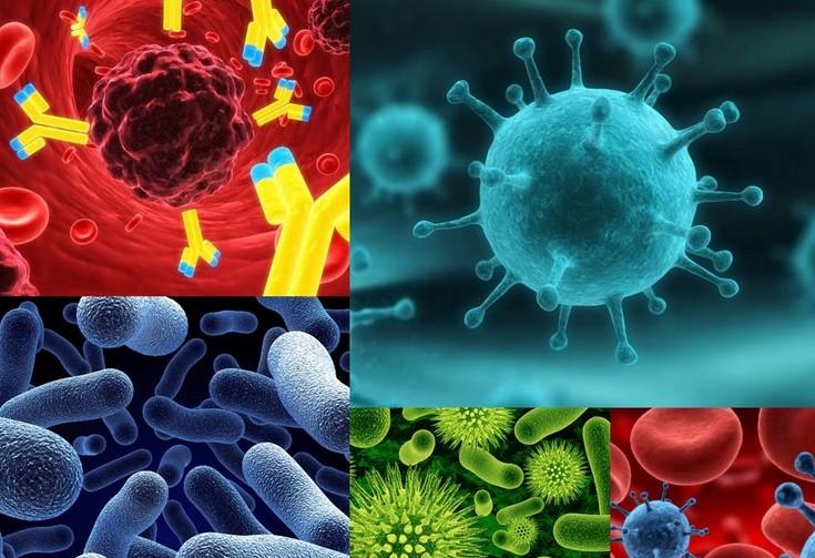 2016年疾病模子研究希望