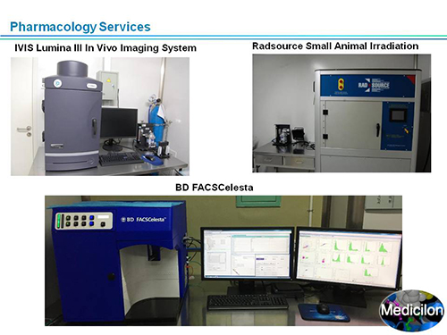 豪门国际官网副总裁汪俊博士SAPA-DC聚会演讲PPT