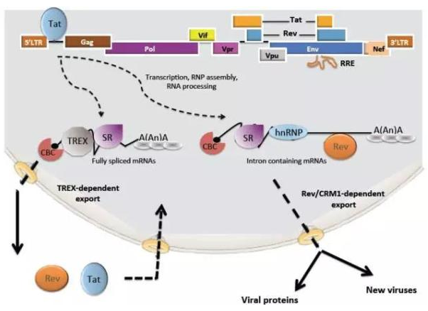 豪门国际官网-追求康健,你我一起开展