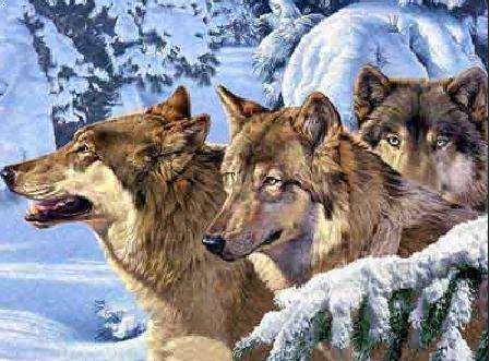 海内仿制药的三匹“狼”来了！！