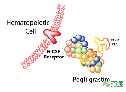 豪门国际官网-追求康健,你我一起开展