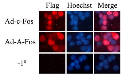 豪门国际官网-追求康健,你我一起开展