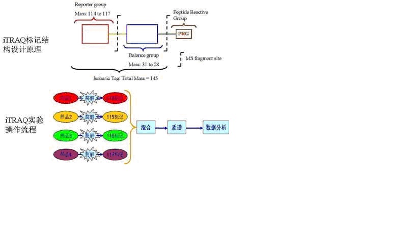 豪门国际官网-追求康健,你我一起开展