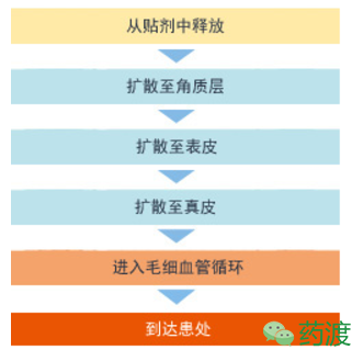 豪门国际官网-追求康健,你我一起开展