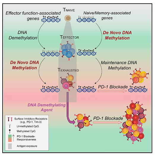 豪门国际官网-追求康健,你我一起开展