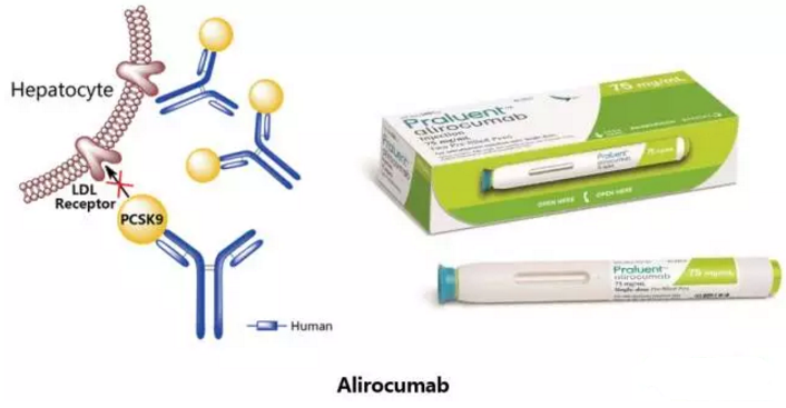 豪门国际官网-追求康健,你我一起开展